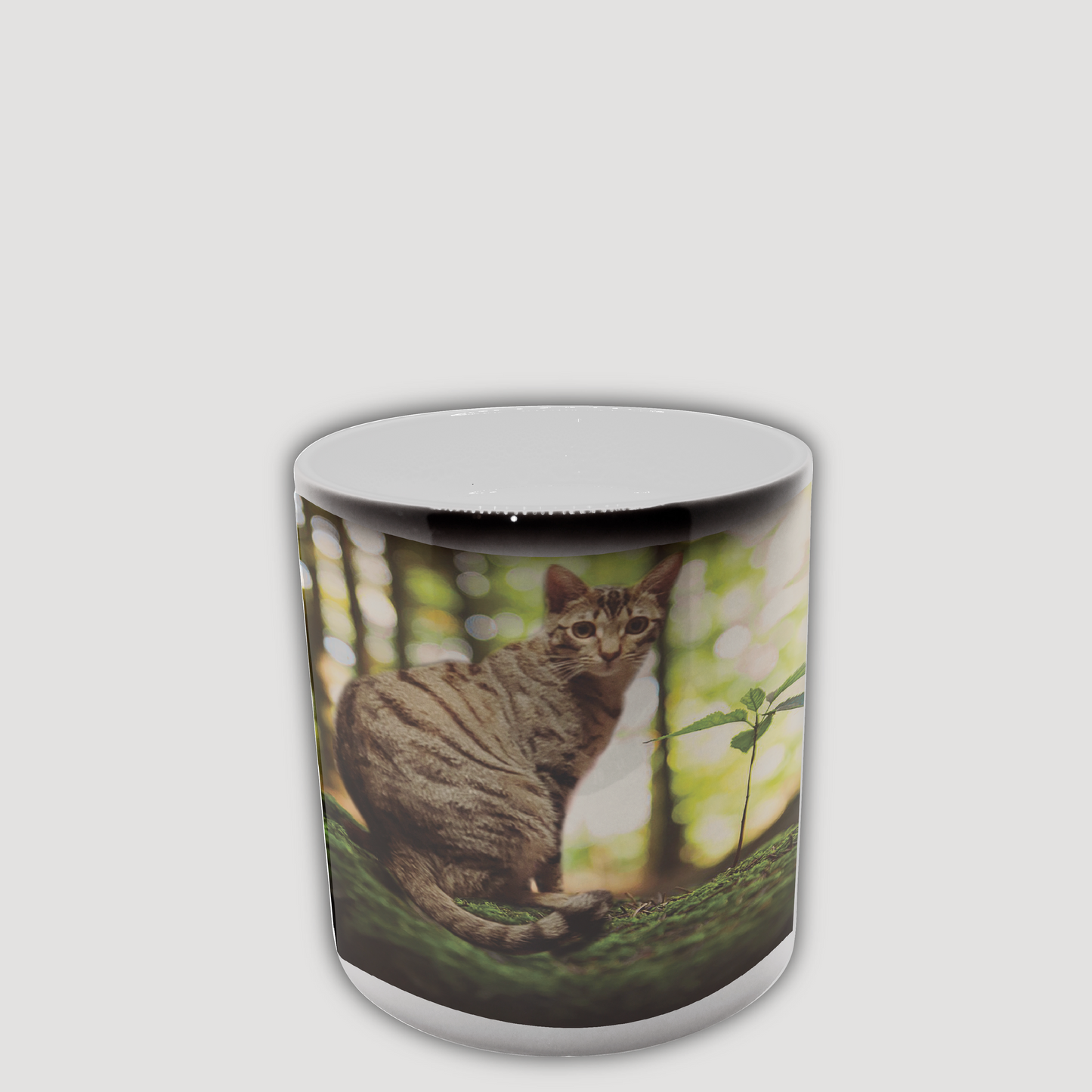 Color Changing Mug