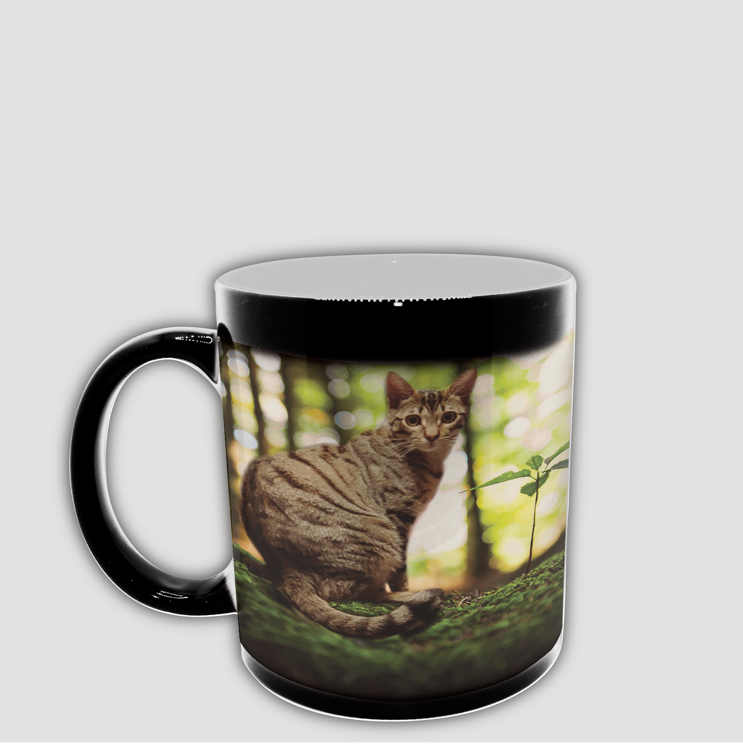 Color Changing Mug