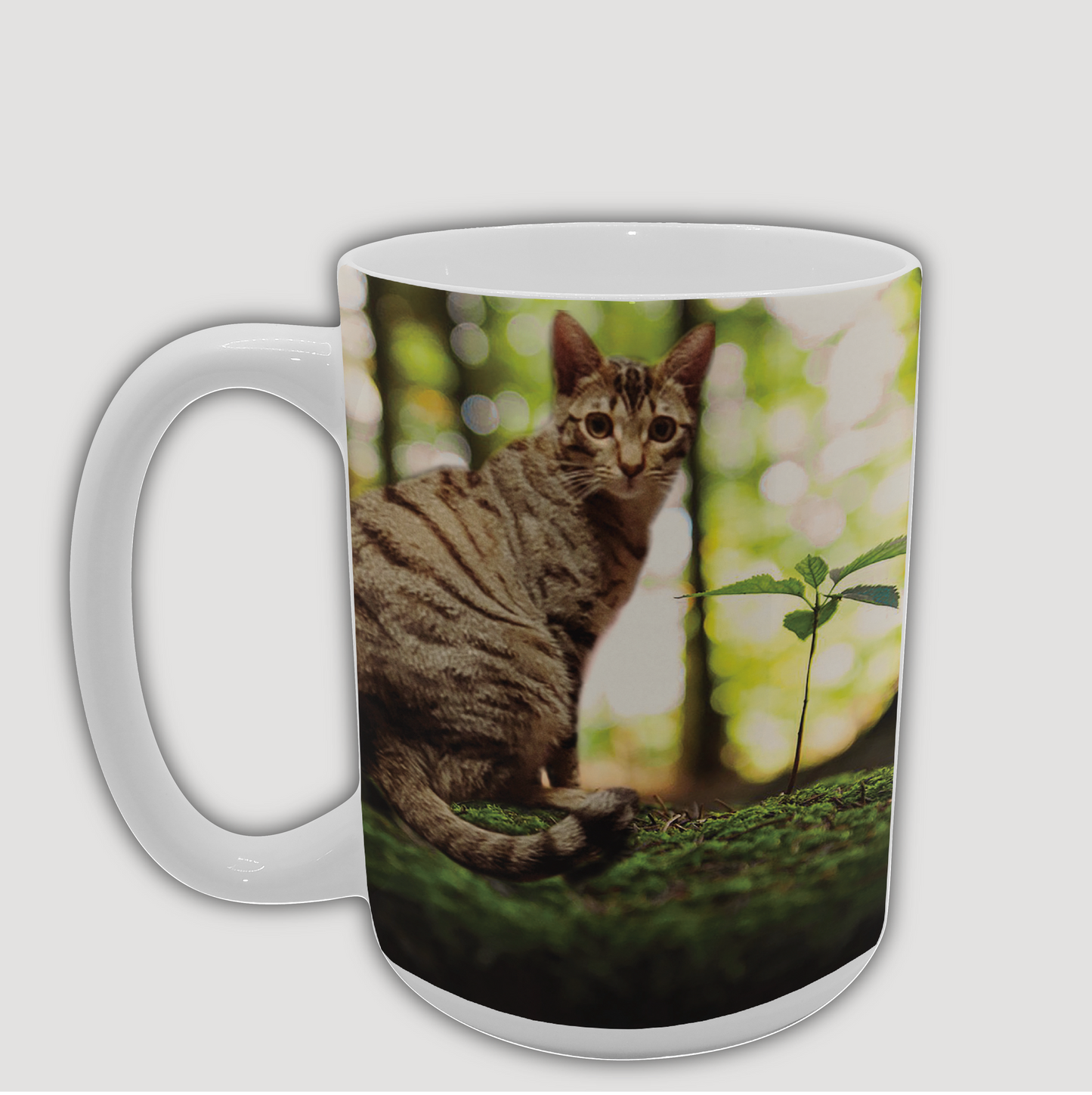 Ceramic Mugs